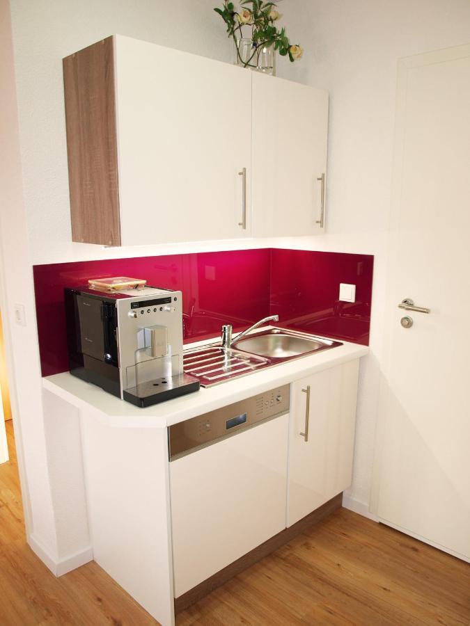 123 Zimmerfrei Schoneck Экстерьер фото